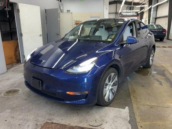 TESLA MODEL Y 2021 5YJYGDEE8MF244223 image